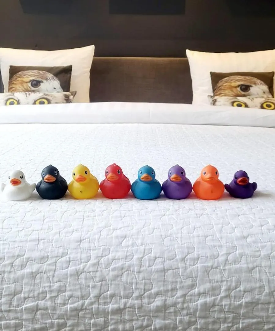 Velvetamsterdam Apartment Homestay Amsterdam